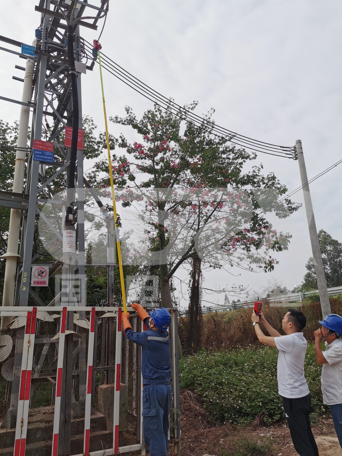 戶外試驗現場.jpg 戶外試驗現場.jpg